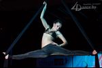 01. Silk Aerial - воздушное представление на полотнах